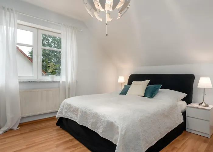 Veens Crew 7 Pax Dreieich